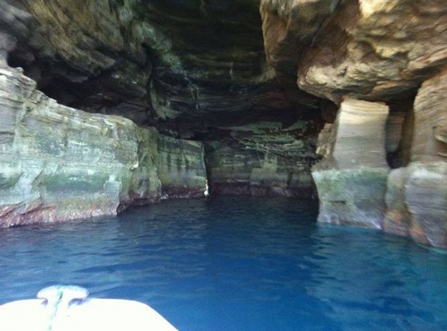 la belleza de alegranza